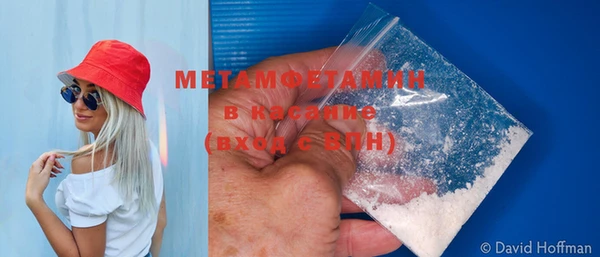 PSILOCYBIN Михайлов