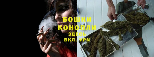 PSILOCYBIN Михайлов
