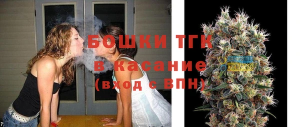 PSILOCYBIN Михайлов