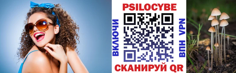 где продают   Казань  darknet состав  Псилоцибиновые грибы мухоморы 
